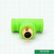 Entsprechen grüne Standardinstallationen des Kunststoffrohr-ISO15874, glatte innere Wände zu formen