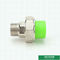 Polypropylen grüne Ppr-Rohr-Zusatz-männliche Übergangsstück-Größe 20-110 Millimeter