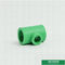 Casting Ppr-Fittings-grüne Farbe, Zustimmung Ppr des Cer-Iso9001, das T-Stück verringert