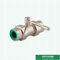 Doppelt-Verbands-Kugelventil DIN8077 PN20 20mm Messing-Ppr