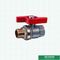 Kundengebundener Mini Forged Brass Ball Valve-Schmetterlings-Griff-doppelter Mann verlegte Messingkugelventil