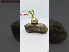 Rohrverschraubung für weibliche PEX-Kupplung Messing-Fittings für Edelstahlrohr