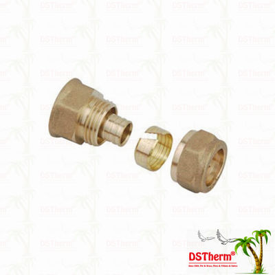 Gleiche Messinginstallationen Messingfarbe kundengebundener Logo Screw Fittings Middle Weight verlegte Koppelung Pex