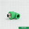 Grüne Farbe-Ppr-Rohr-Zusatz-Mann verlegte der 90 Grad-Ellbogen-lange Nutzungsdauer