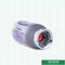 Heizungsbester thermostatischer Heizkörper-Ventilteller kundengebundenes Logo der Ventilteller-hohen Qualität